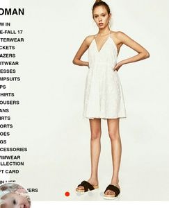 Zara embroidered mini dress